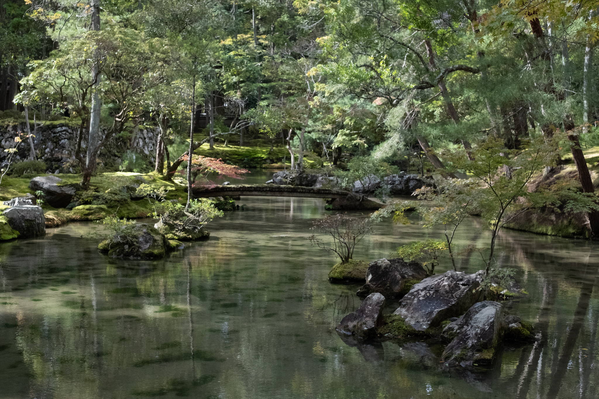 Featured gallery image