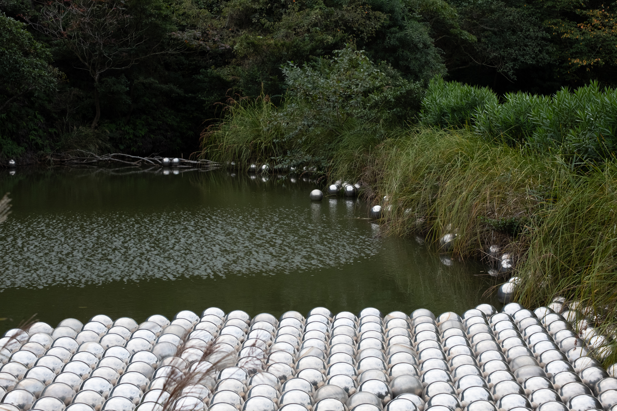 Featured gallery image